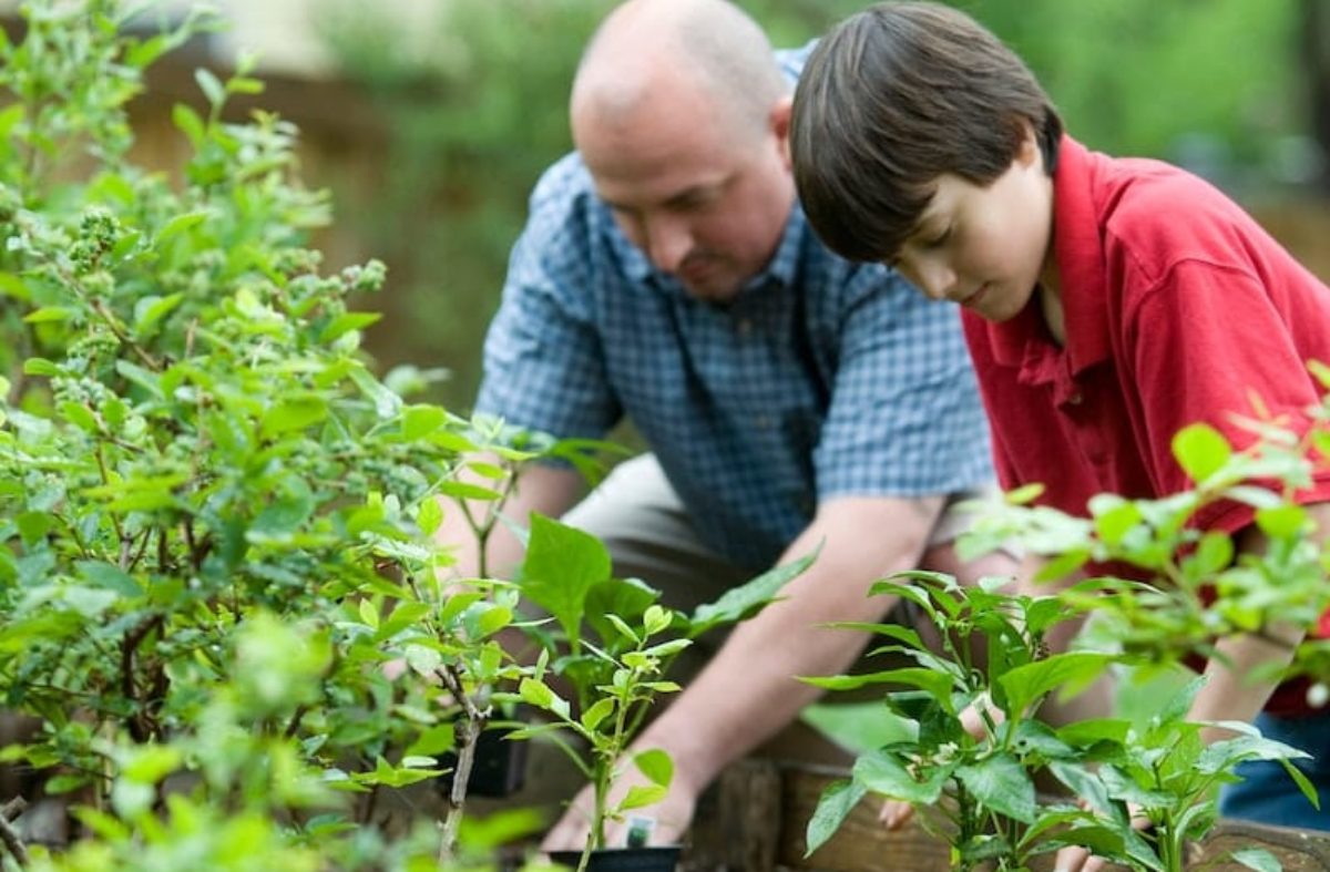 Father and son work together in the garden. Being faithful to do the work before us is more important than calling.