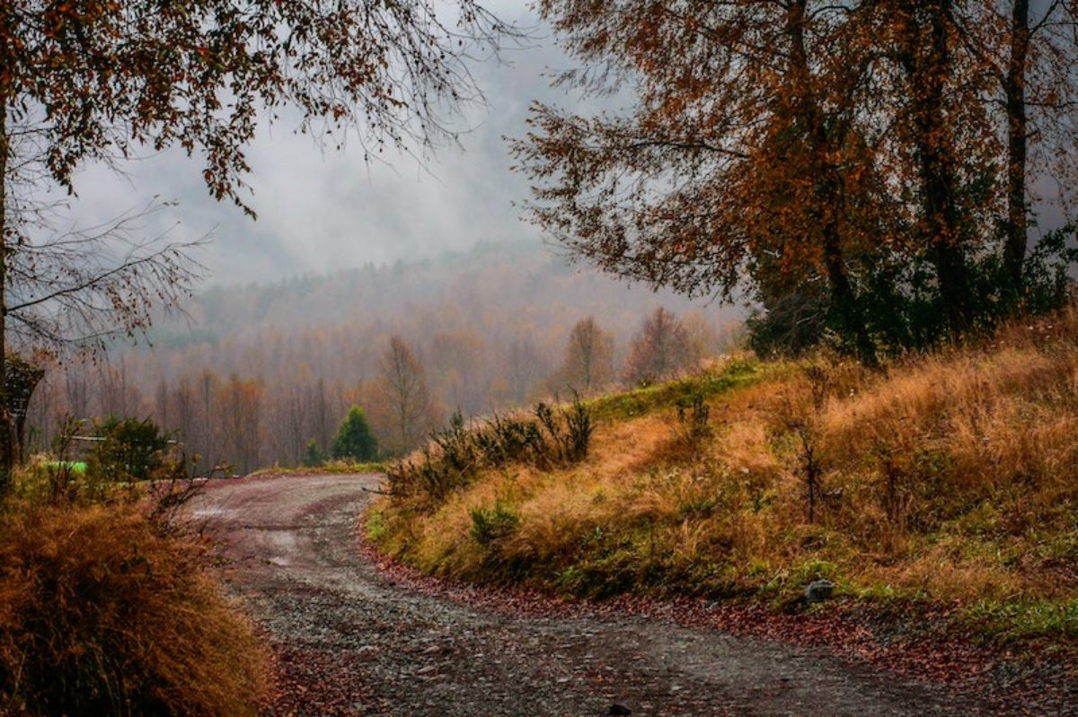 A gravel road winds out of sight on a misty day